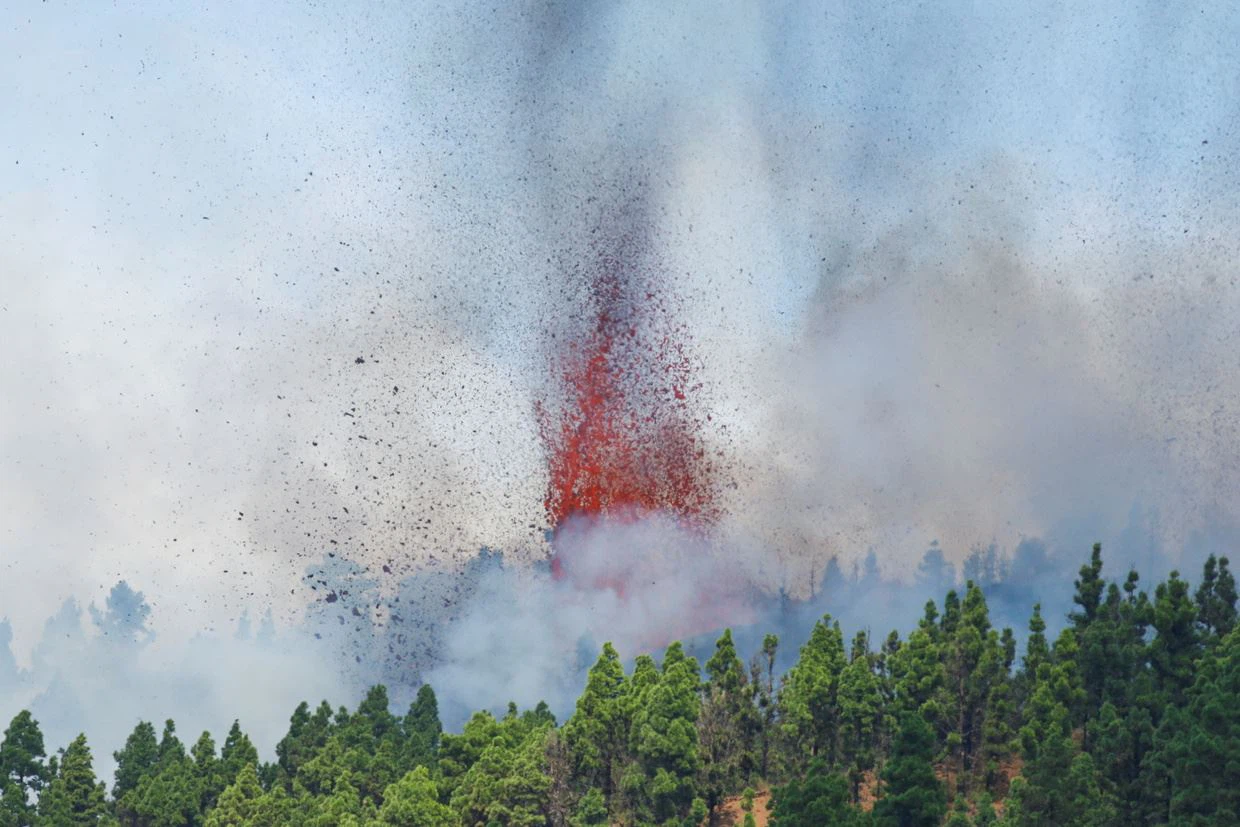 Viac ako 50% banánov v Španielsku v La Palma sa nedá predať